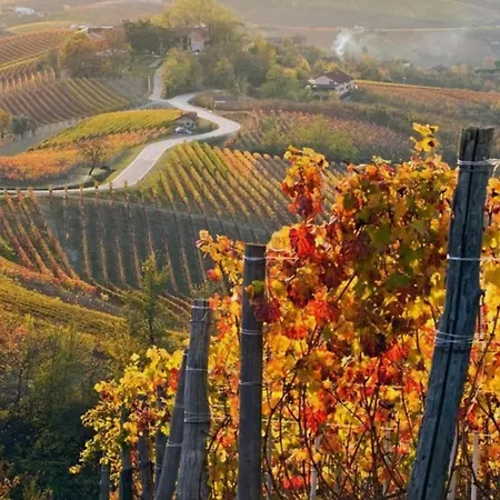 L'antica Corte شقة Mongardino